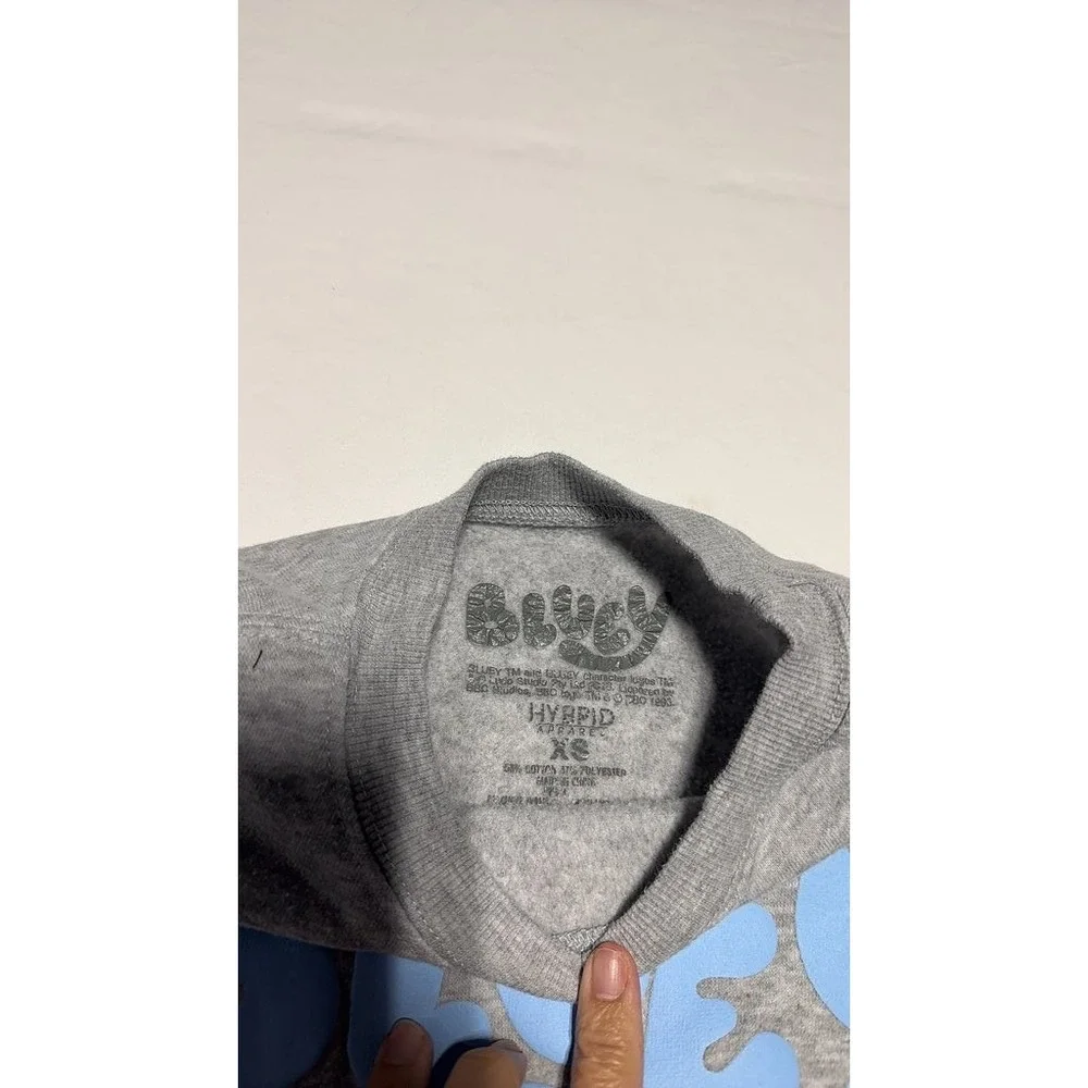 Hybrid Bluey Graphic Kids Sweatshirt Gray Best Buddies Pullover XS